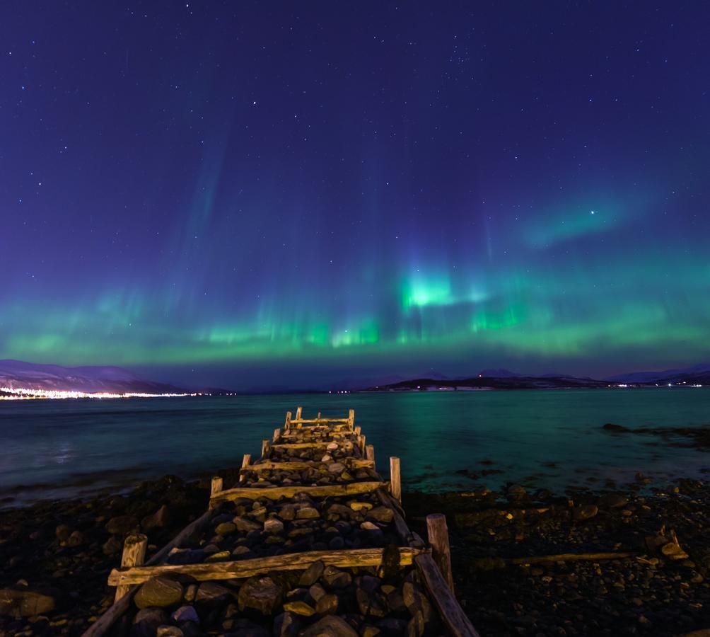 Vikran Vacation: Sea Fishing And Northern Lights Εξωτερικό φωτογραφία