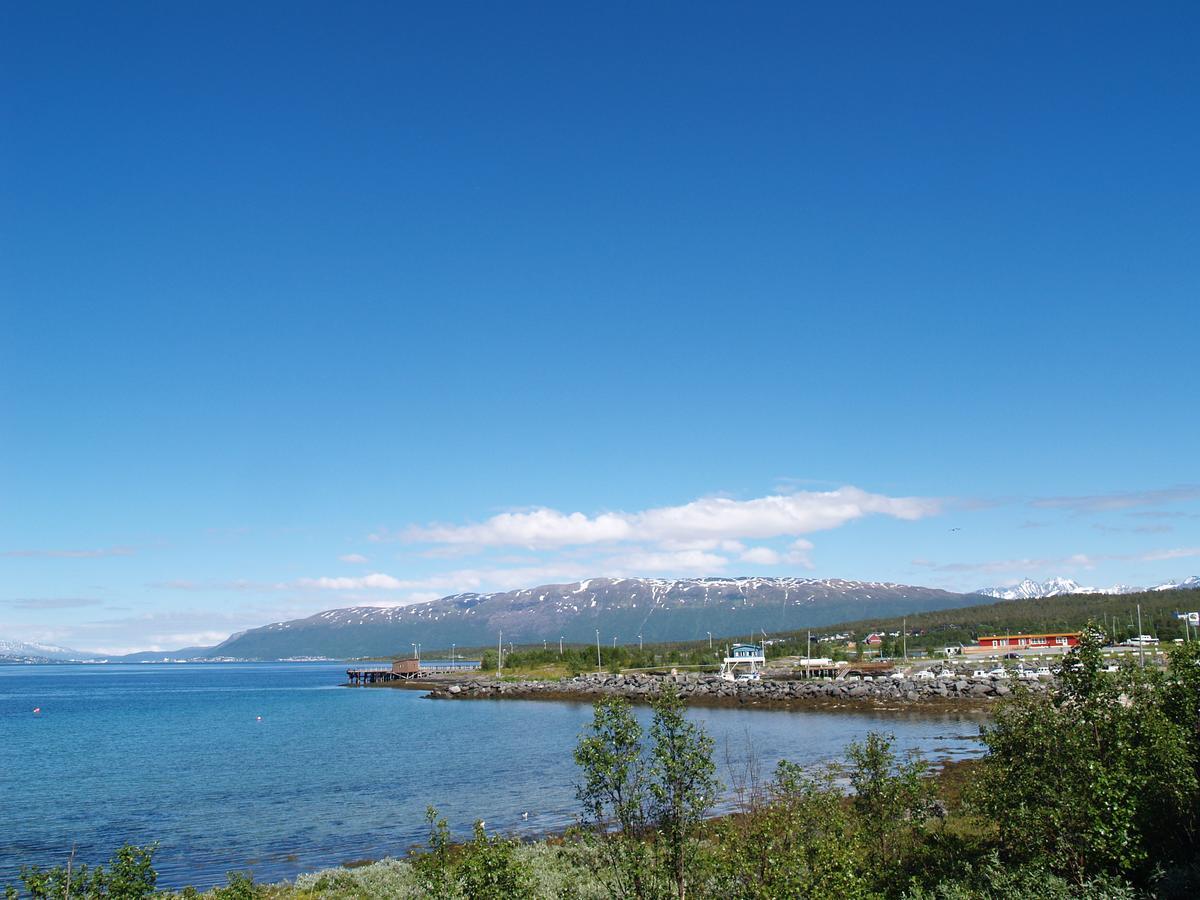 Vikran Vacation: Sea Fishing And Northern Lights Εξωτερικό φωτογραφία