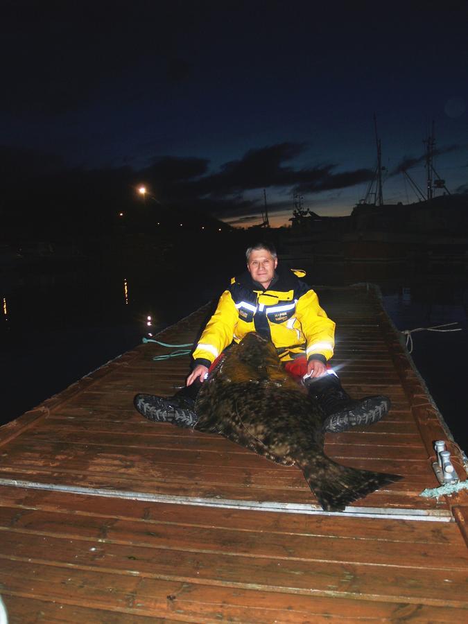 Vikran Vacation: Sea Fishing And Northern Lights Εξωτερικό φωτογραφία