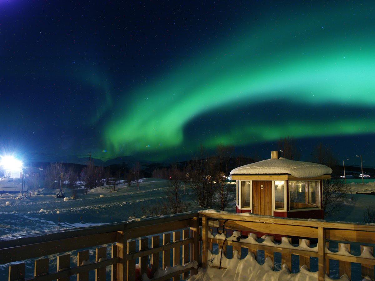 Vikran Vacation: Sea Fishing And Northern Lights Εξωτερικό φωτογραφία
