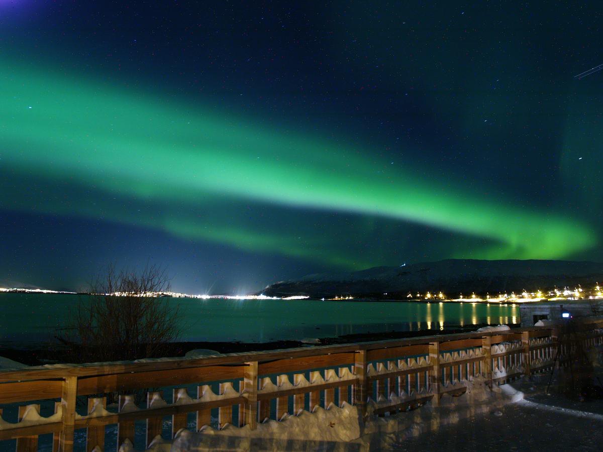 Vikran Vacation: Sea Fishing And Northern Lights Εξωτερικό φωτογραφία