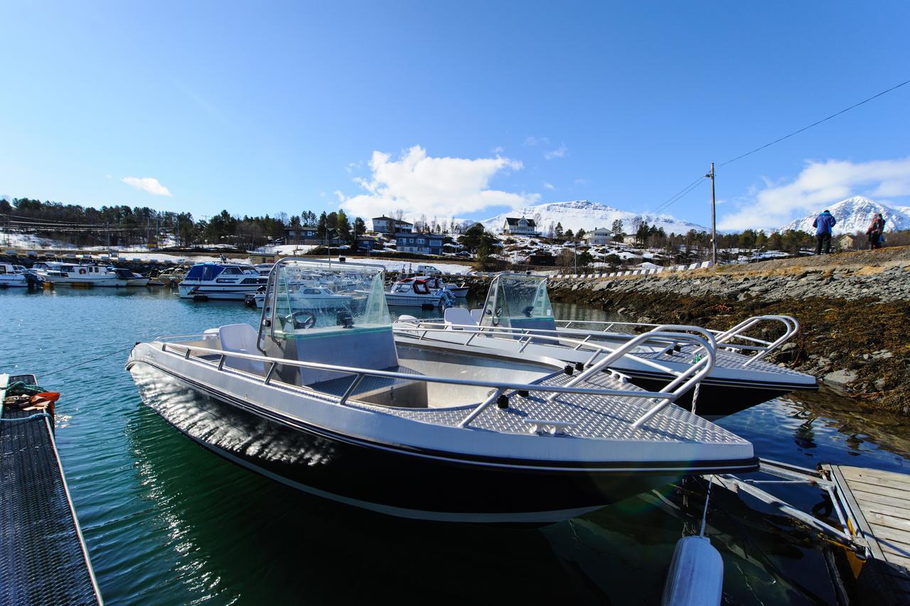 Vikran Vacation: Sea Fishing And Northern Lights Εξωτερικό φωτογραφία