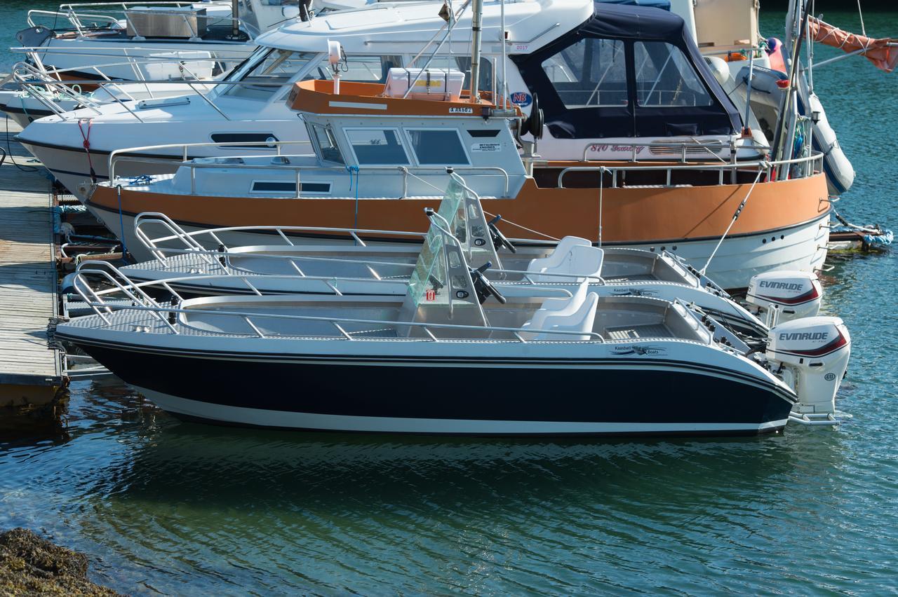 Vikran Vacation: Sea Fishing And Northern Lights Εξωτερικό φωτογραφία