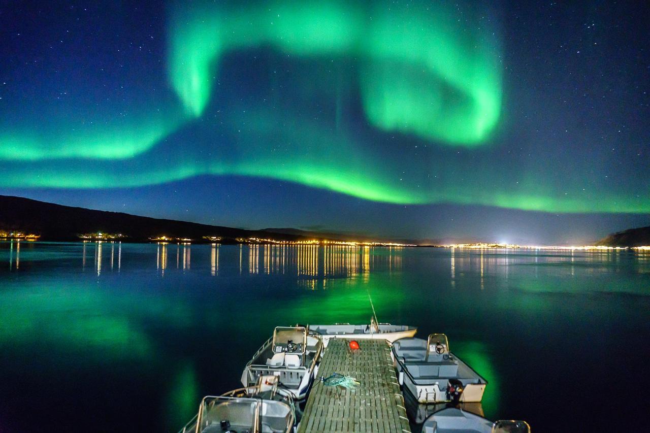 Vikran Vacation: Sea Fishing And Northern Lights Εξωτερικό φωτογραφία